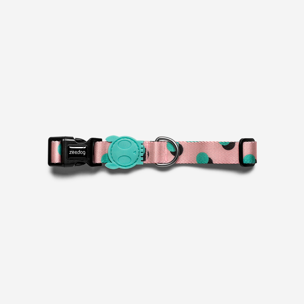 coleira-para-cachorros-polka-rosa-zeedog-cachorro-pet-main-3