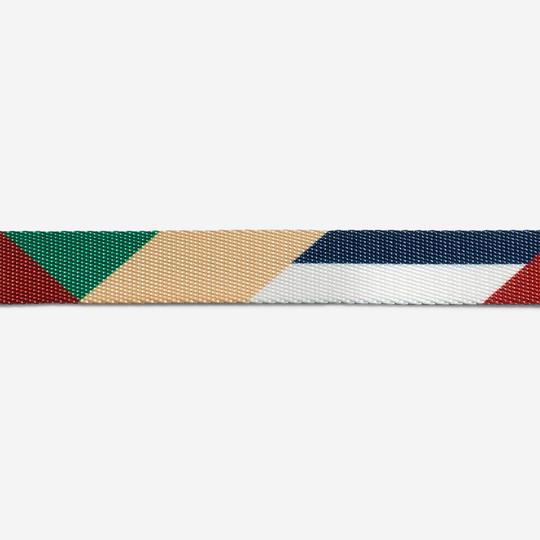 zeedog-dog-collar-pacco_main-4_540x