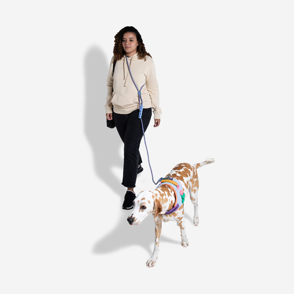 guia-para-cachorros-hands-free-leash-andromeda-zeedog-pet-main-4