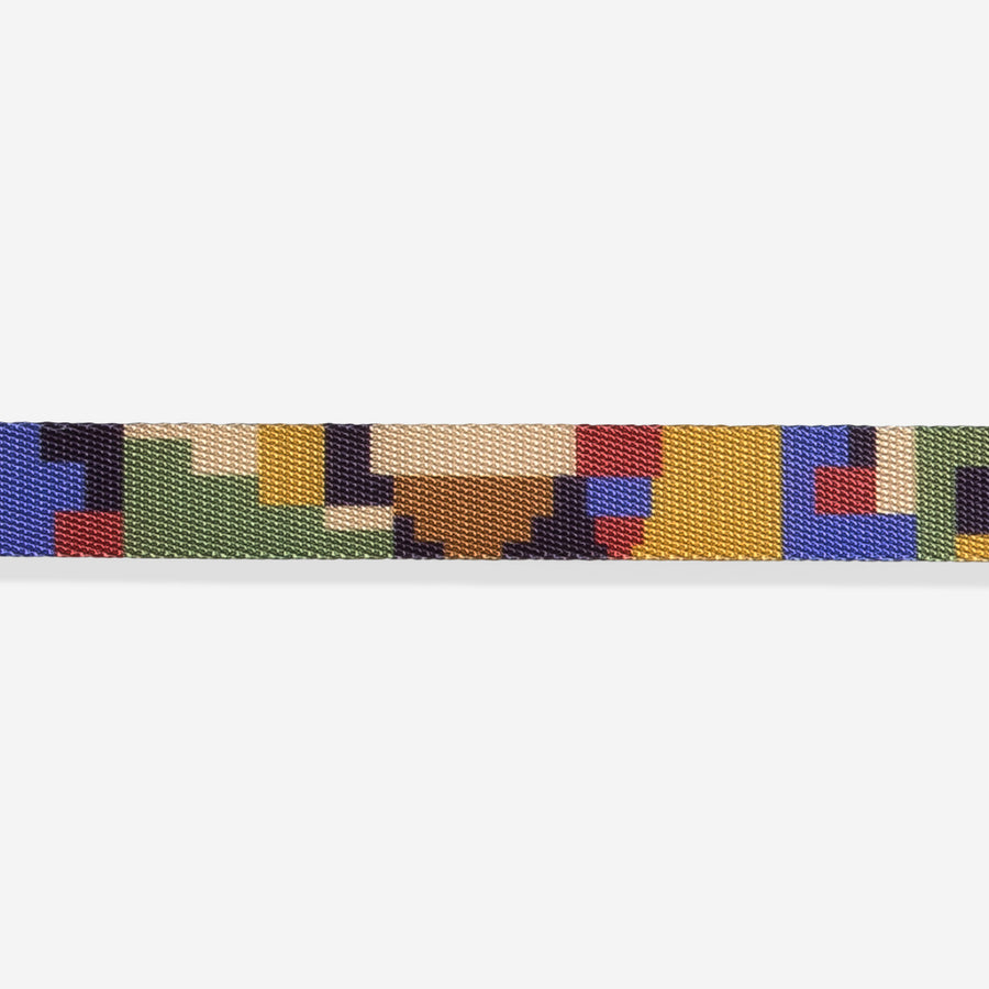 zeedog-dog-collar-pixel_main-4_900x